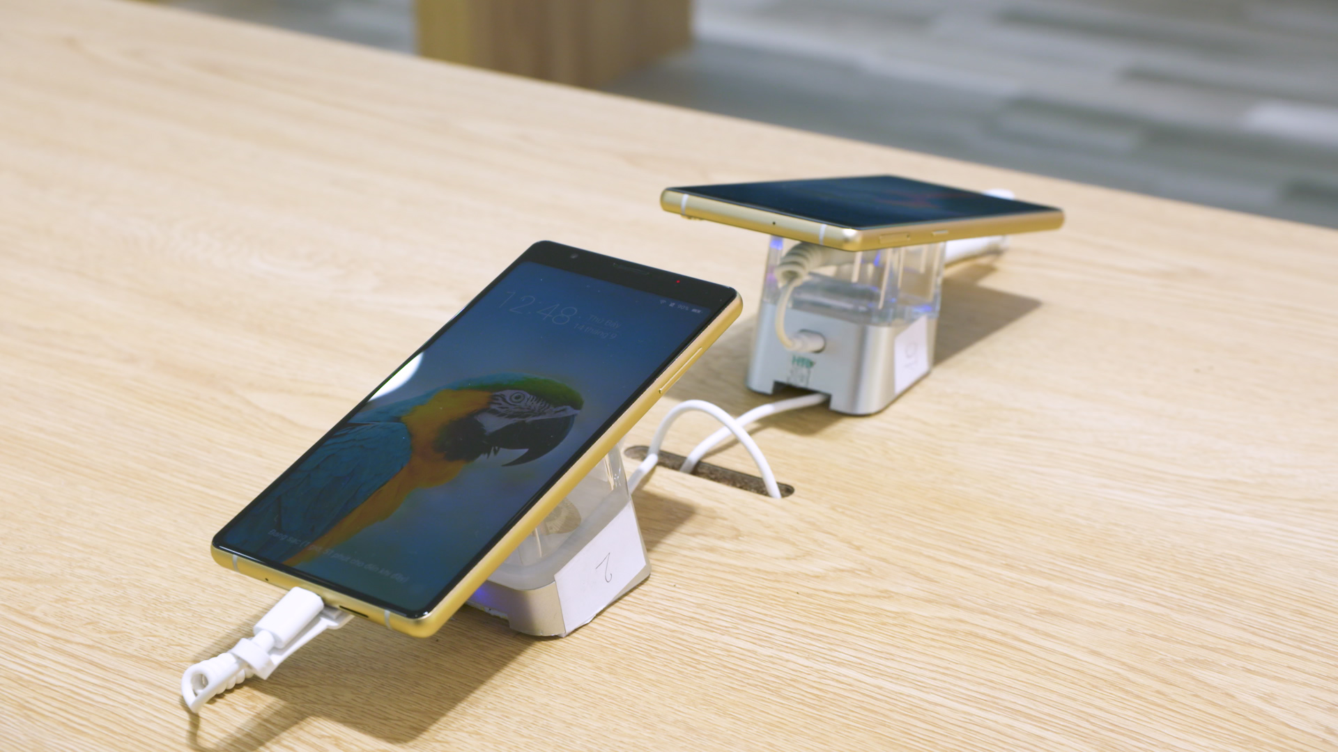bphone-1.jpg