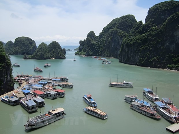 cdnimgvietnamplusvn-t620-uploaded-ngtmbh-20230709-vnpvinhhalong.jpg