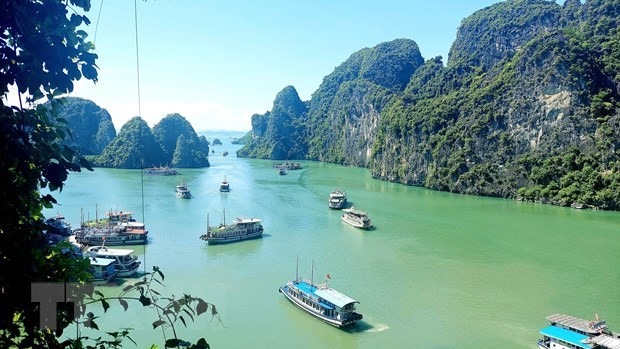 cdnimgvietnamplusvn-t620-uploaded-ngtnnn-20230808-0908halong1.jpg
