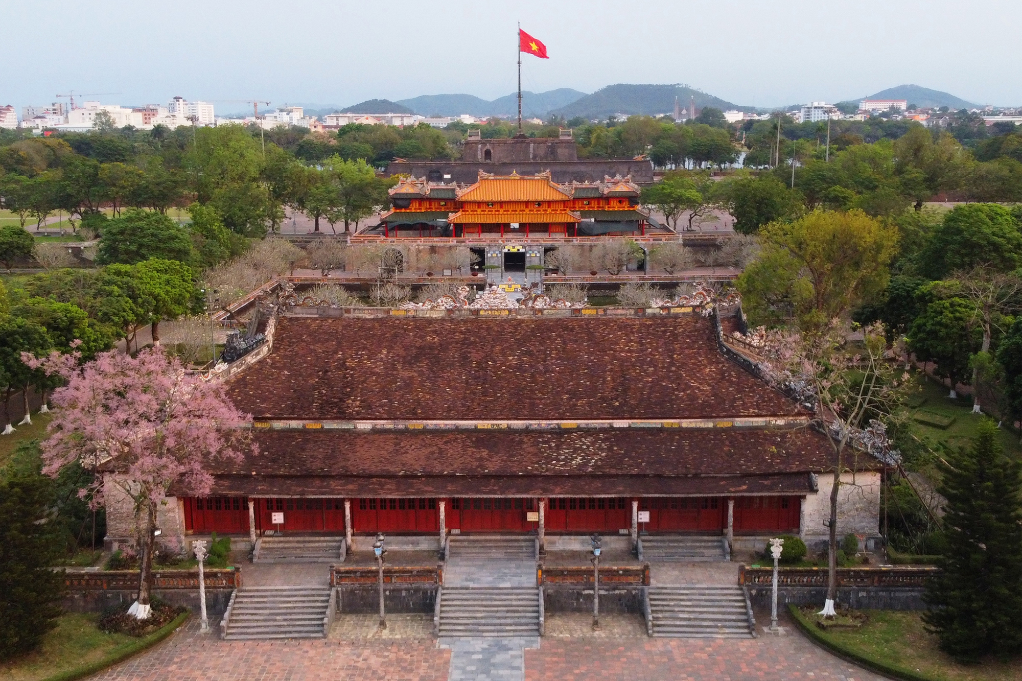 dien-thai-hoa-3-4351-1691307741558488930055.jpeg