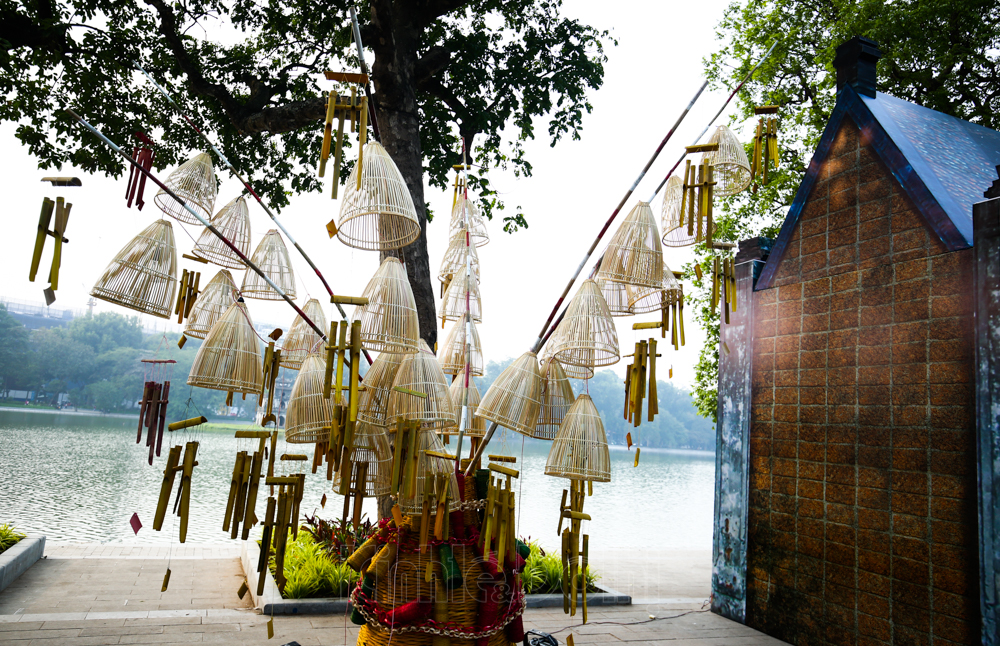 duong-dai-9-1.jpg
