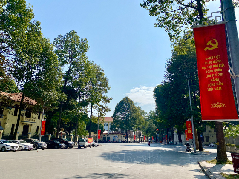 duong-pho-3.jpg