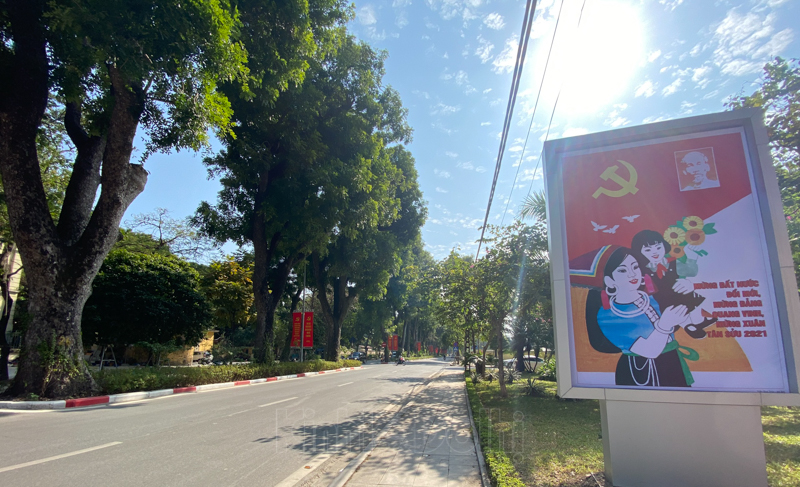 duong-pho-8.jpg