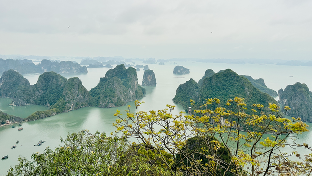 halong2-16908095383282008541443.png