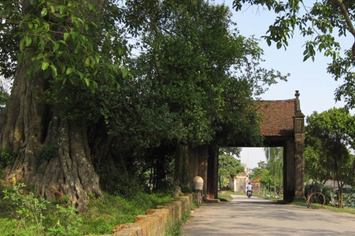 lang-co-duong-lam.jpg